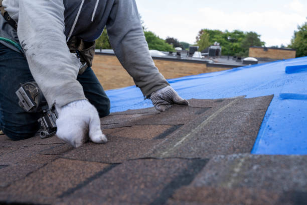 Best Roof Waterproofing Services  in Springboro, OH