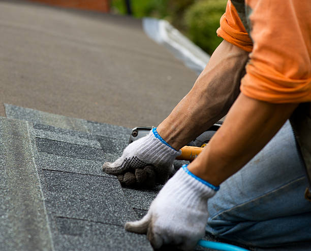 Best Metal Roofing Contractor  in Springboro, OH
